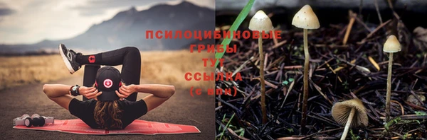 бошки Магас