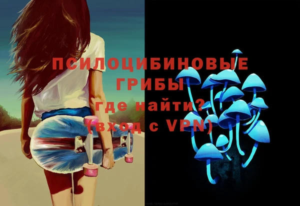 ALPHA-PVP Бердск