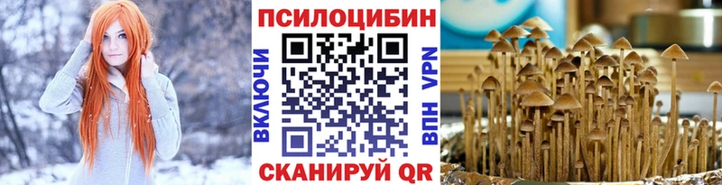 Псилоцибиновые грибы прущие грибы  кракен рабочий сайт  Сухой Лог 