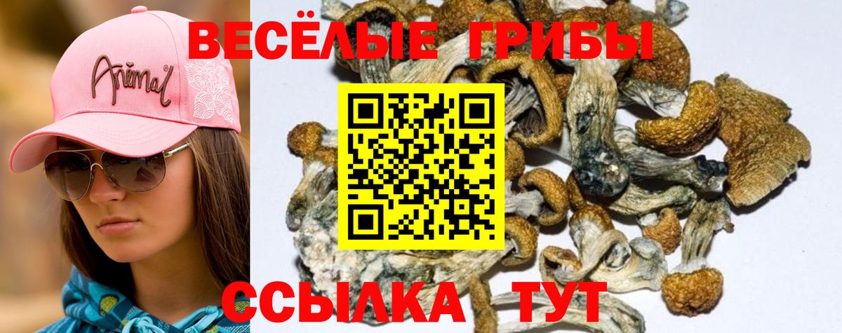 Галлюциногенные грибы ЛСД  Галлюциногенные грибы Magic Shrooms  Вход с VPN  Сухой Лог 