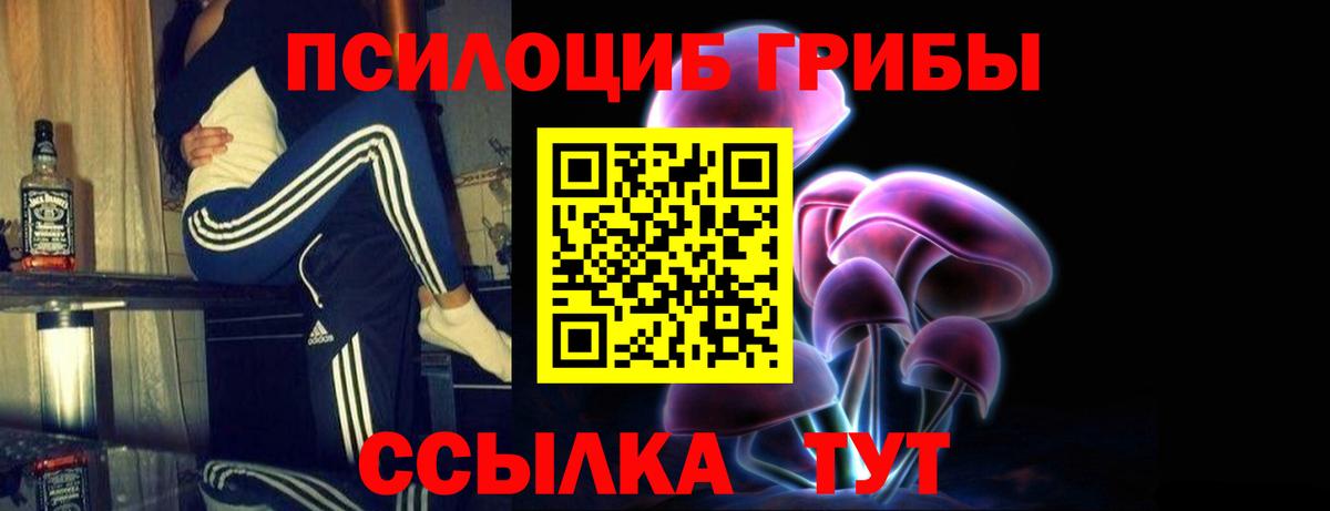 Псилоцибиновые грибы Cubensis Сухой Лог